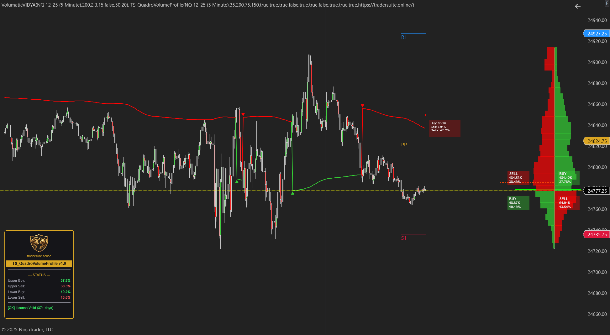 TS_QuadroVolumeProfile - NT8 Trading Indicator
