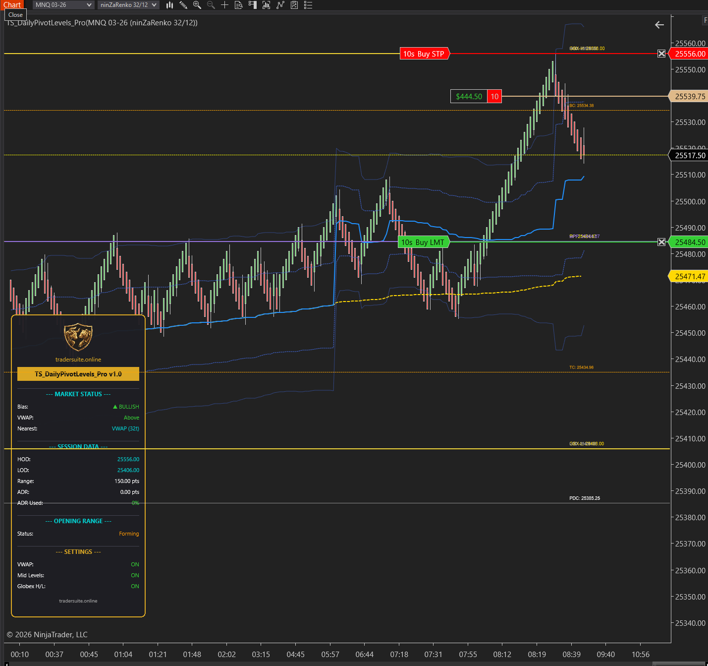 Daily Pivot Levels Pro - NT8 Trading Indicator