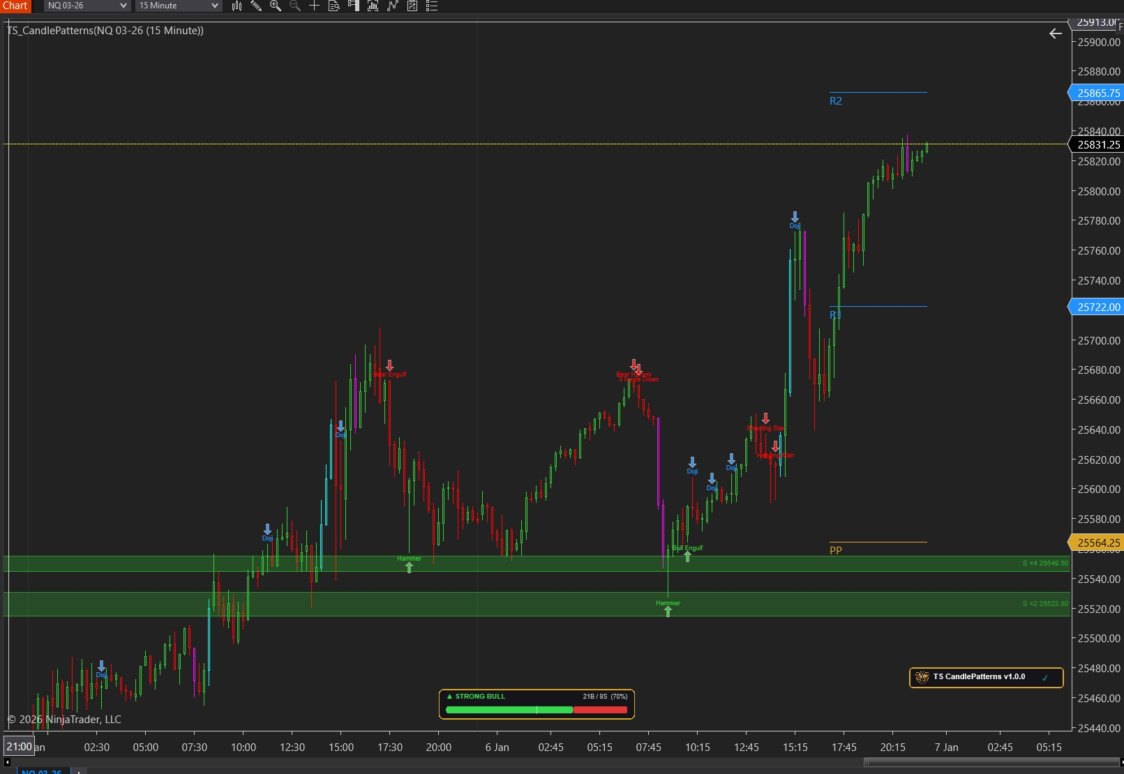 TS CandlePatterns — Smart Pattern & S/R Detector - NT8 Trading Indicator