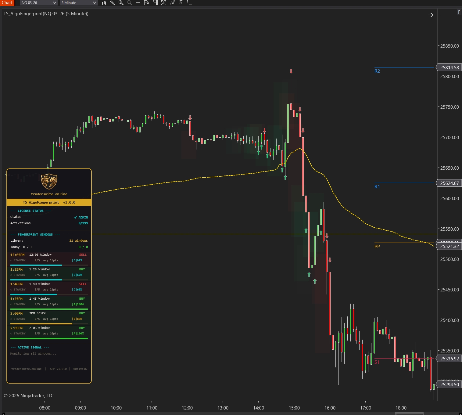 Algo Fingerprint detector - NT8 Trading Indicator